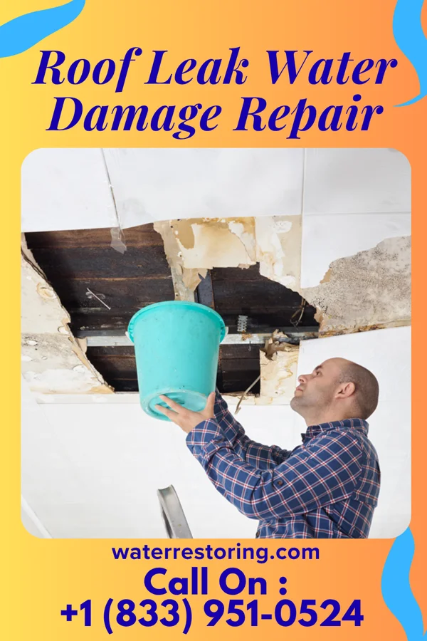 Roof Leak Water Damage Repair in Niles, KS